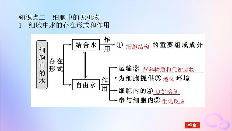 2024版新教材高考生物全程一轮总复习第一单元走近细胞及组成细胞的分子课堂互动探究案2细胞的物质组成及有机物的鉴定课件06