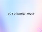 2024版新教材高考生物全程一轮总复习第一单元走近细胞及组成细胞的分子课堂互动探究案3蛋白质是生命活动的主要承担者课件