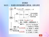 2024版新教材高考生物全程一轮总复习第一单元走近细胞及组成细胞的分子课堂互动探究案3蛋白质是生命活动的主要承担者课件