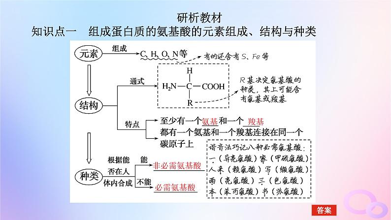 2024版新教材高考生物全程一轮总复习第一单元走近细胞及组成细胞的分子课堂互动探究案3蛋白质是生命活动的主要承担者课件05