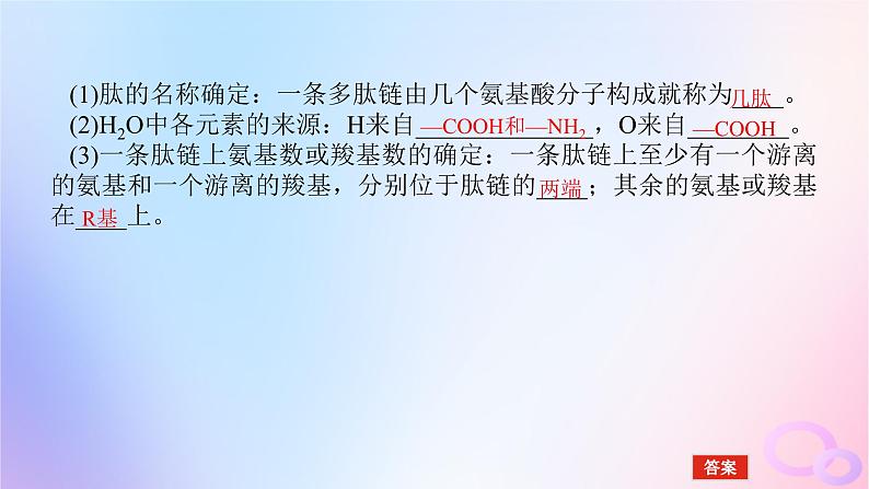 2024版新教材高考生物全程一轮总复习第一单元走近细胞及组成细胞的分子课堂互动探究案3蛋白质是生命活动的主要承担者课件07