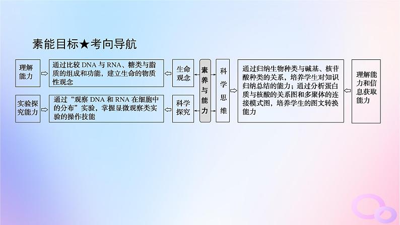 2024版新教材高考生物全程一轮总复习第一单元走近细胞及组成细胞的分子课堂互动探究案4细胞中的糖类和脂质核酸是遗传信息的携带者课件04