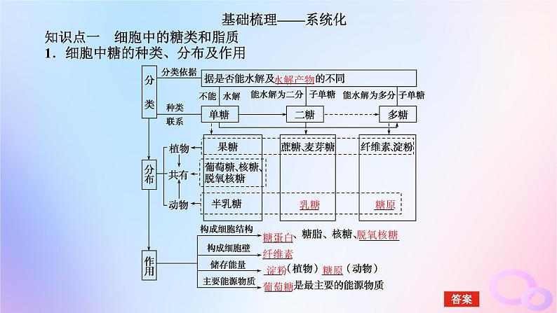 2024版新教材高考生物全程一轮总复习第一单元走近细胞及组成细胞的分子课堂互动探究案4细胞中的糖类和脂质核酸是遗传信息的携带者课件05