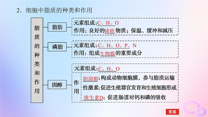 2024版新教材高考生物全程一轮总复习第一单元走近细胞及组成细胞的分子课堂互动探究案4细胞中的糖类和脂质核酸是遗传信息的携带者课件06