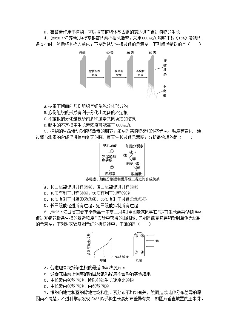 2024版新教材高考生物全程一轮总复习课后定时检测案32植物的激素调节二第2页