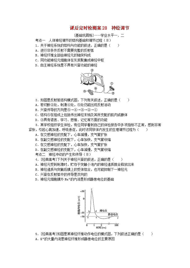 2024版新教材高考生物全程一轮总复习课后定时检测案28神经调节第1页