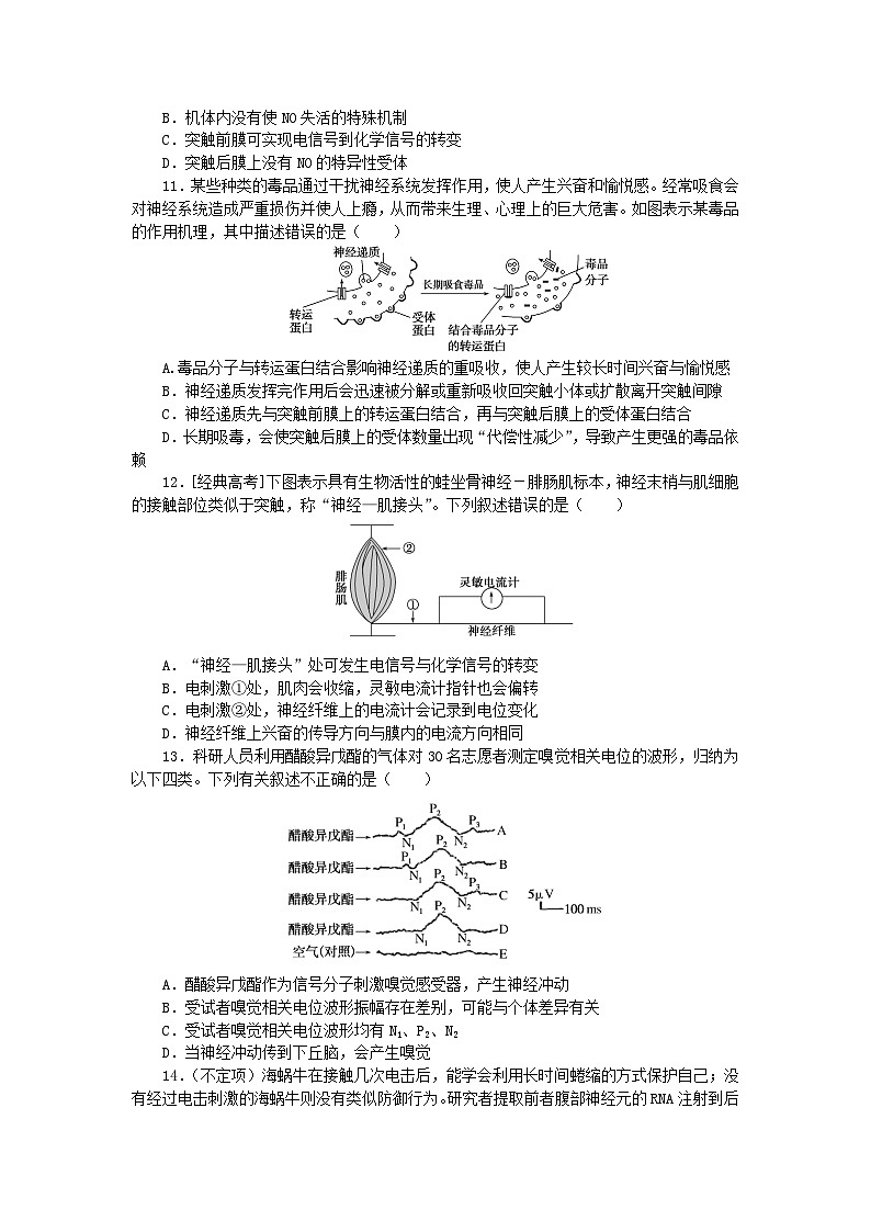 2024版新教材高考生物全程一轮总复习课后定时检测案28神经调节第3页