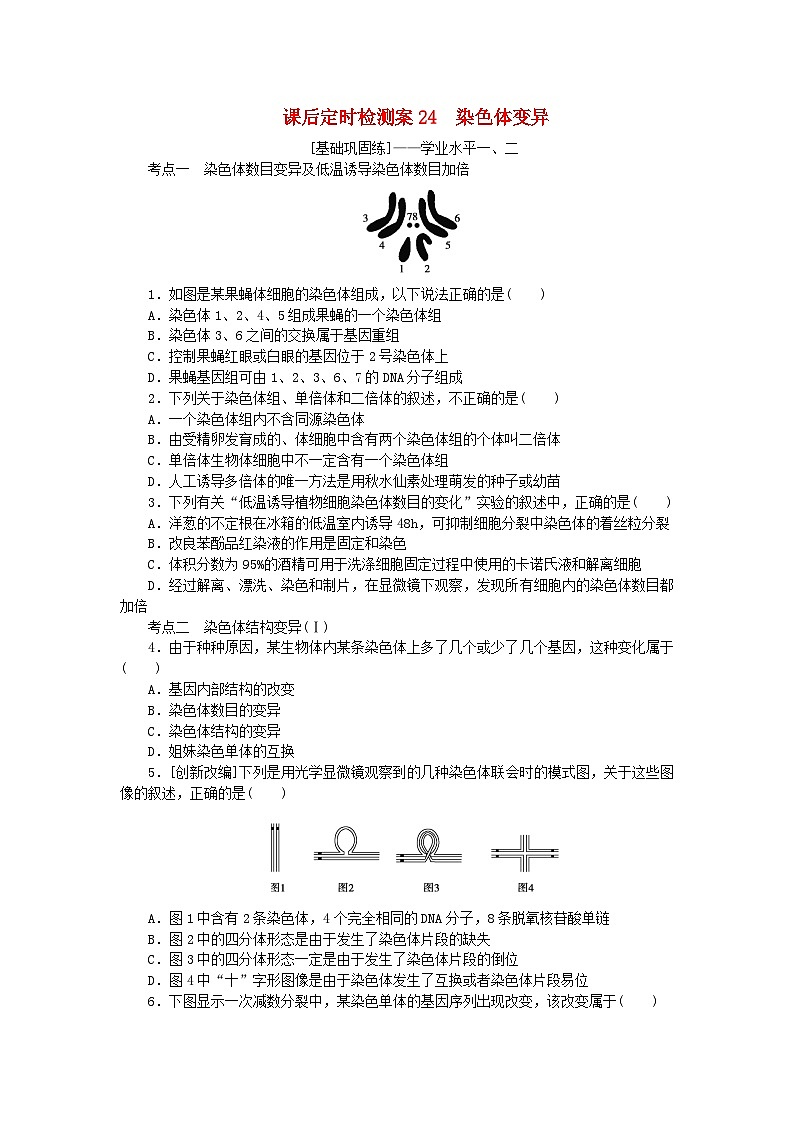 2024版新教材高考生物全程一轮总复习课后定时检测案24染色体变异第1页