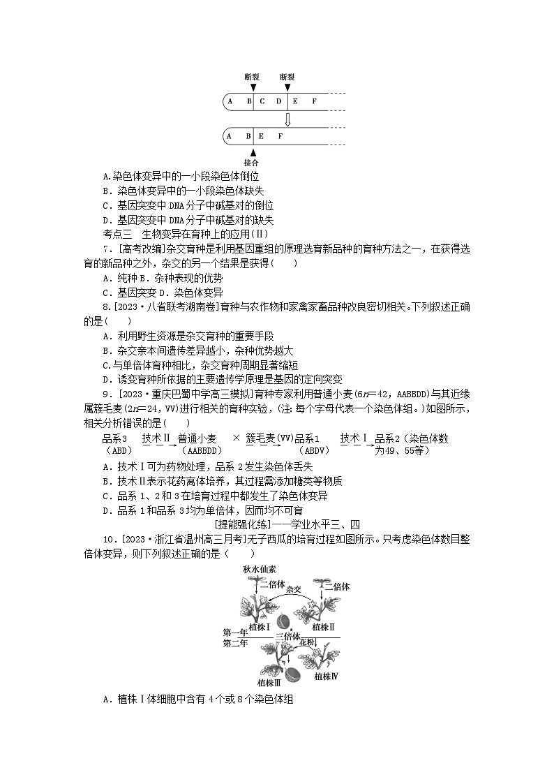 2024版新教材高考生物全程一轮总复习课后定时检测案24染色体变异第2页