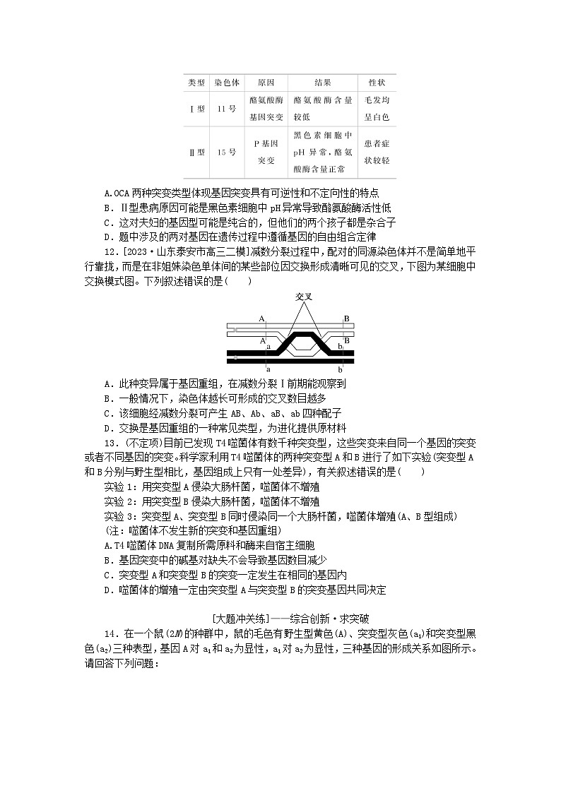 2024版新教材高考生物全程一轮总复习课后定时检测案23基因突变与基因重组第3页