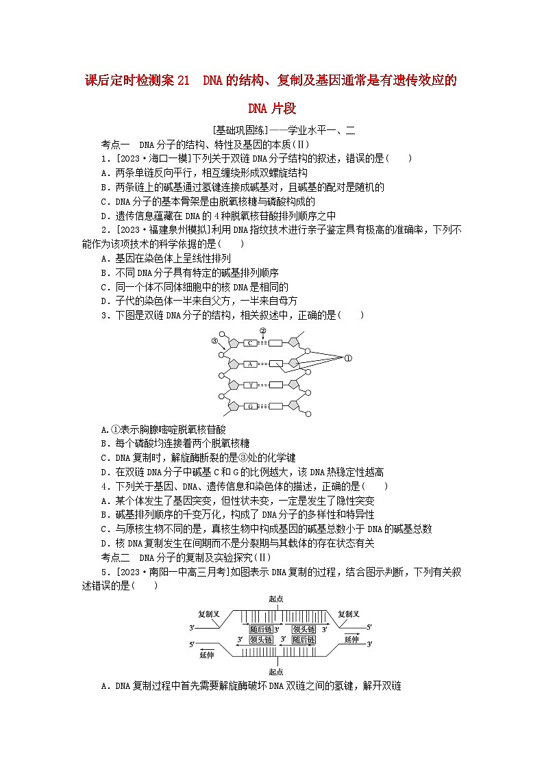 2024版新教材高考生物全程一轮总复习课后定时检测案21DNA的结构复制及基因通常是有遗传效应的DNA片段01