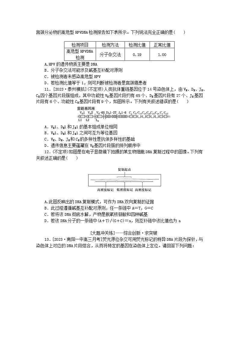 2024版新教材高考生物全程一轮总复习课后定时检测案21DNA的结构复制及基因通常是有遗传效应的DNA片段03