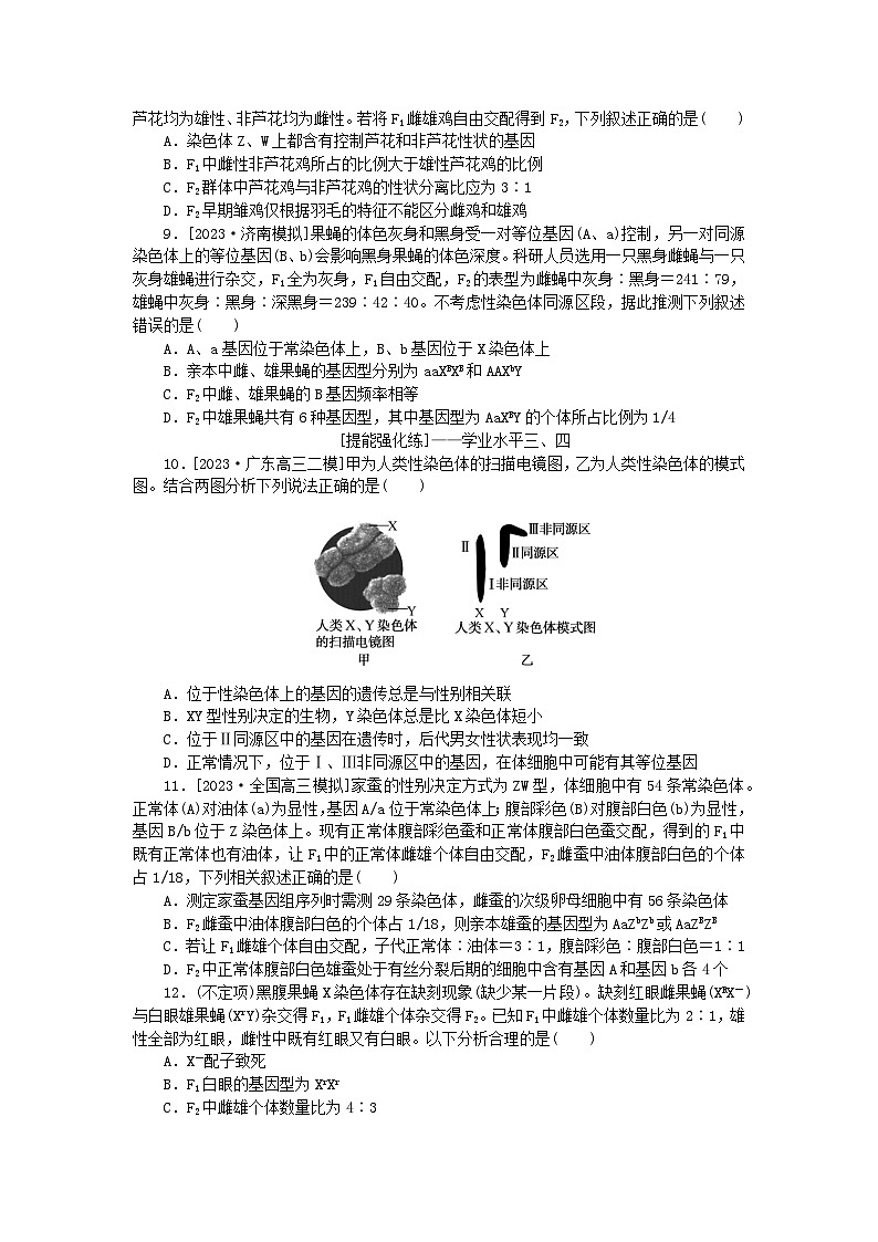 2024版新教材高考生物全程一轮总复习课后定时检测案19基因在染色体上伴性遗传第2页