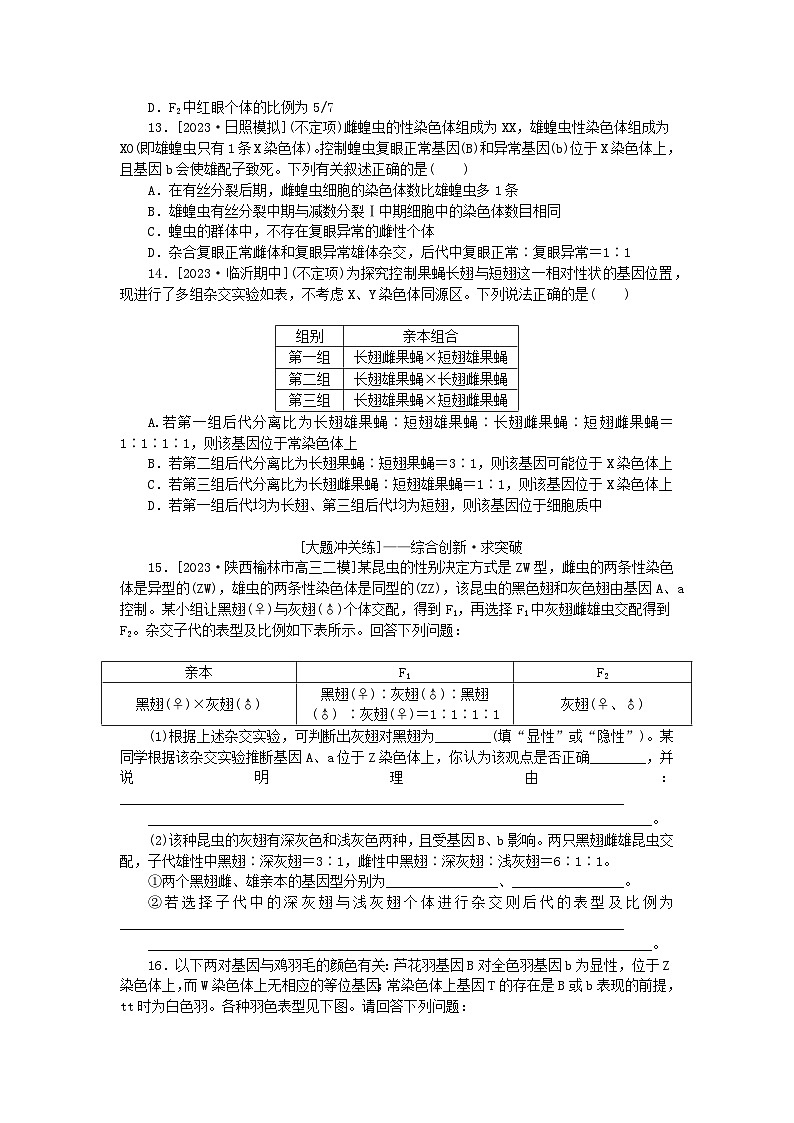 2024版新教材高考生物全程一轮总复习课后定时检测案19基因在染色体上伴性遗传第3页
