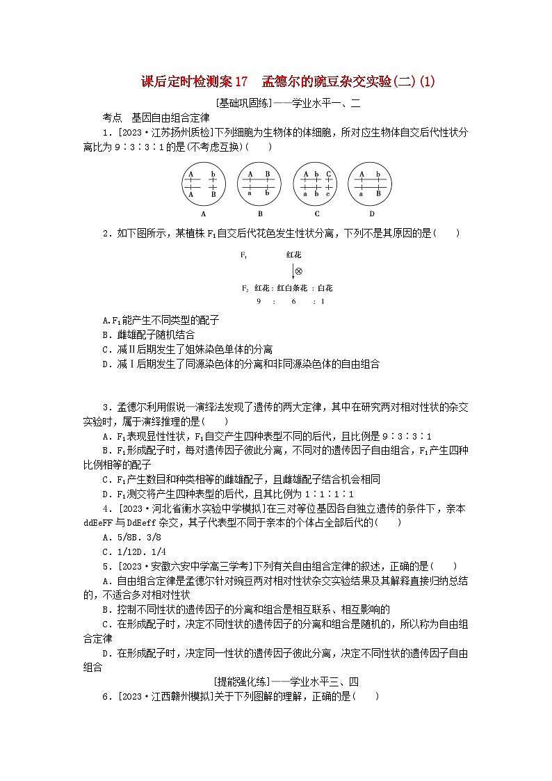 2024版新教材高考生物全程一轮总复习课后定时检测案17孟德尔的豌豆杂交实验二1第1页