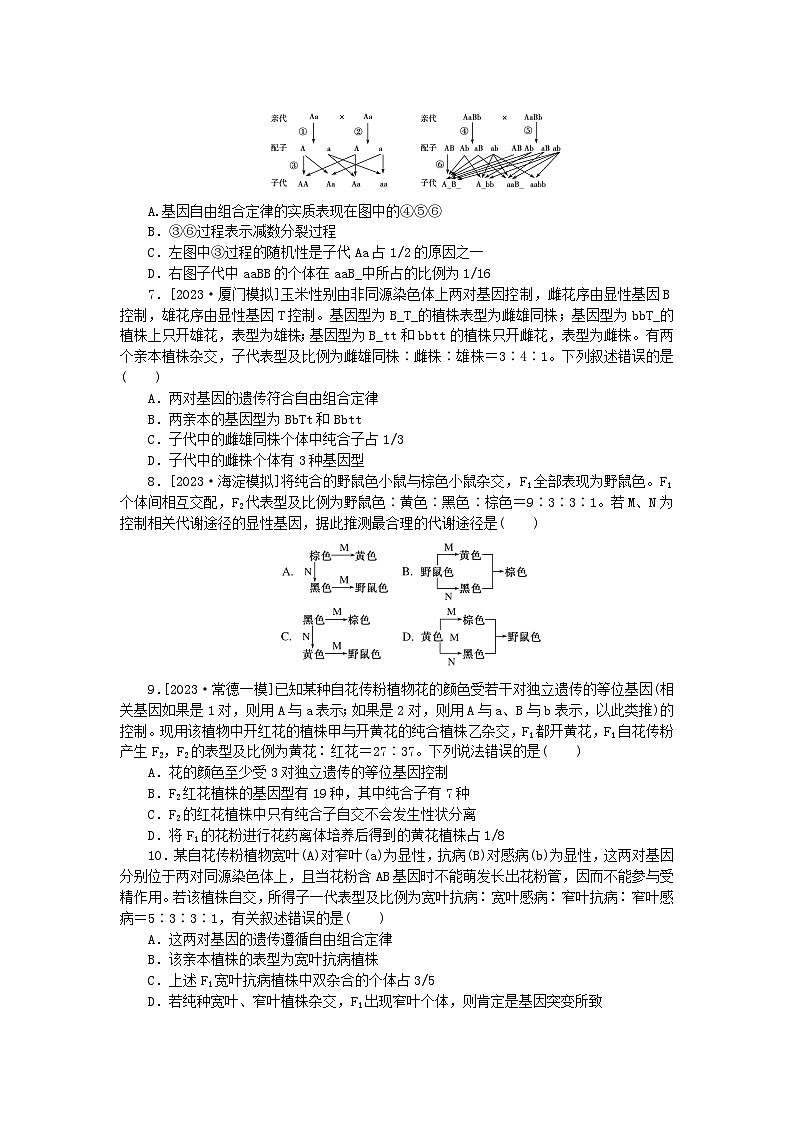 2024版新教材高考生物全程一轮总复习课后定时检测案17孟德尔的豌豆杂交实验二1第2页