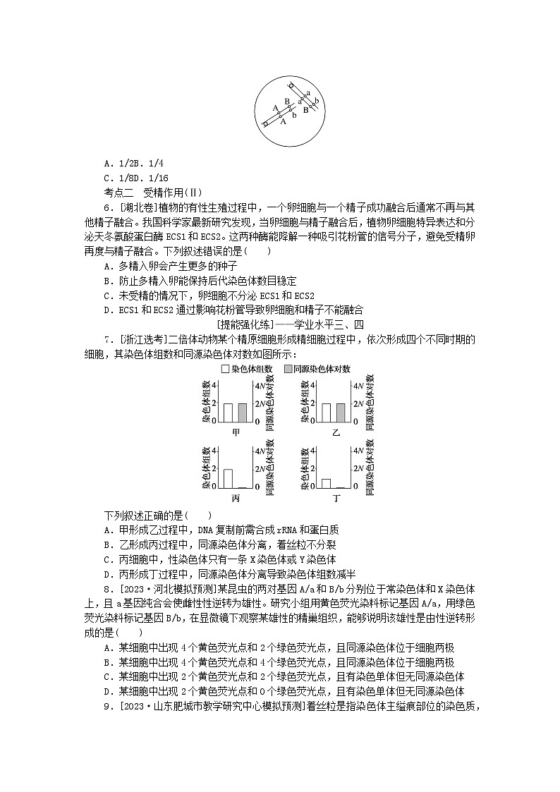 2024版新教材高考生物全程一轮总复习课后定时检测案13减数分裂和受精作用一第2页