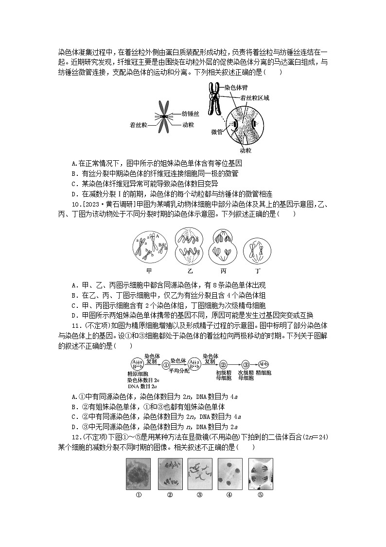 2024版新教材高考生物全程一轮总复习课后定时检测案13减数分裂和受精作用一第3页