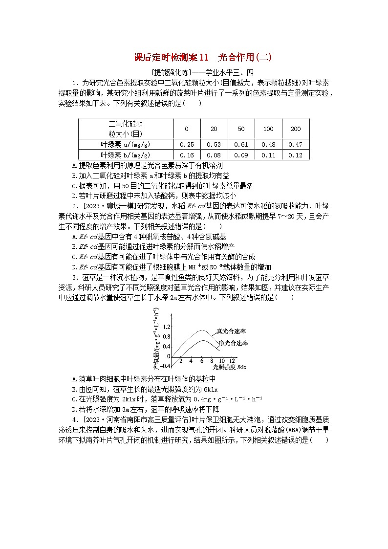 2024版新教材高考生物全程一轮总复习课后定时检测案11光合作用二第1页