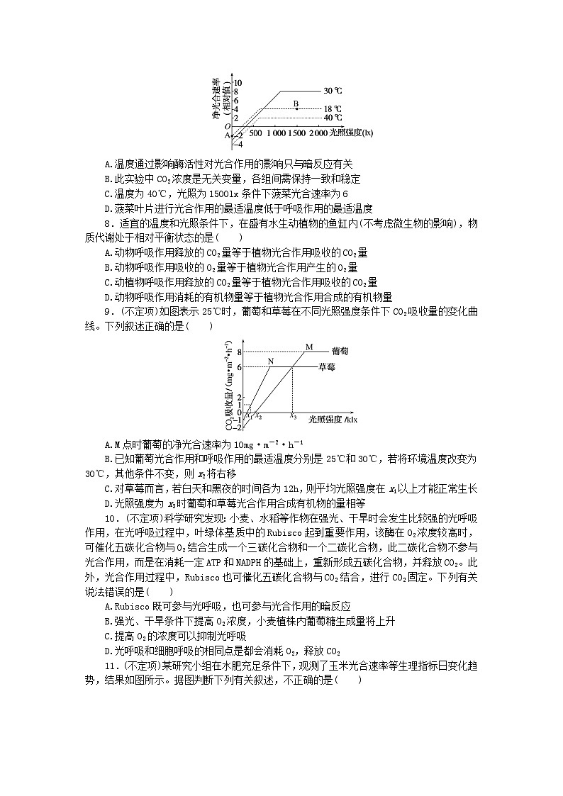 2024版新教材高考生物全程一轮总复习课后定时检测案11光合作用二第3页