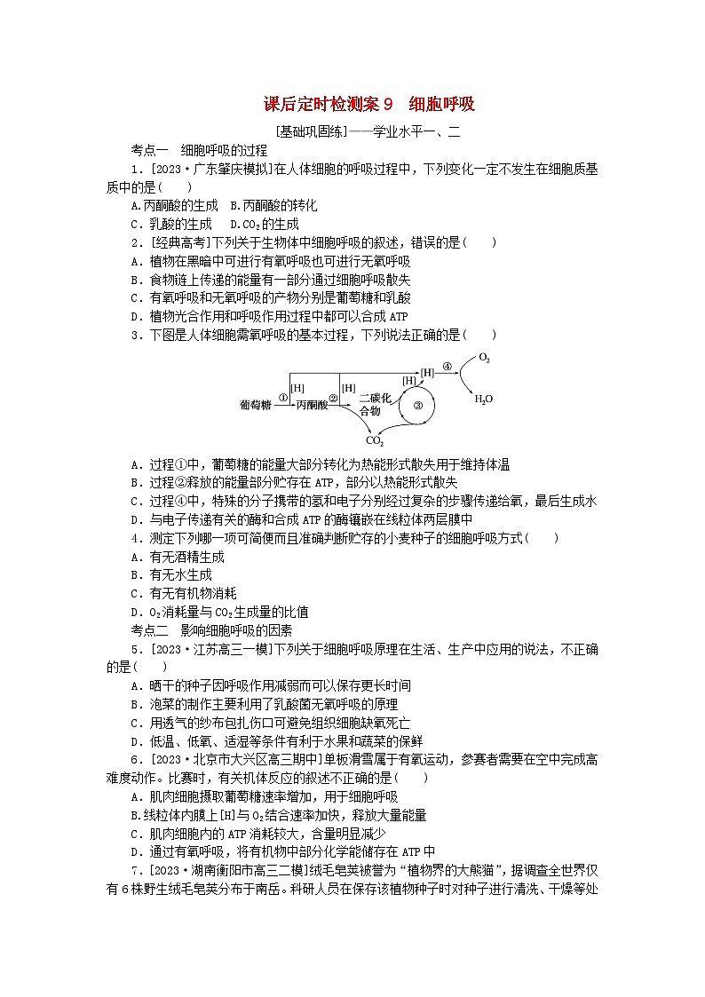 2024版新教材高考生物全程一轮总复习课后定时检测案9细胞呼吸01
