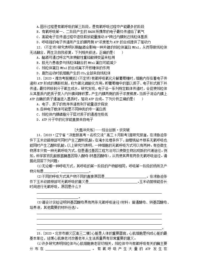 2024版新教材高考生物全程一轮总复习课后定时检测案9细胞呼吸03