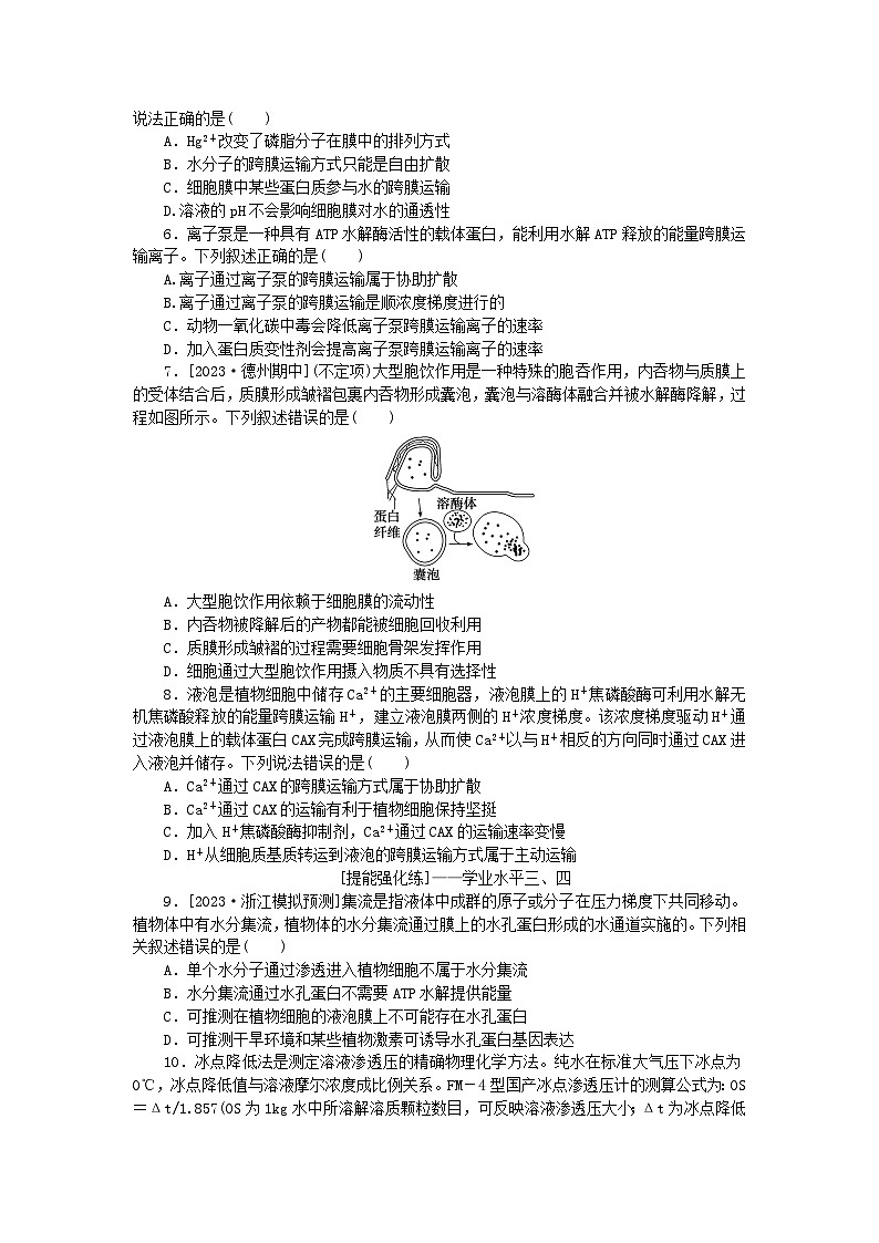 2024版新教材高考生物全程一轮总复习课后定时检测案7细胞的物质输入和输出02