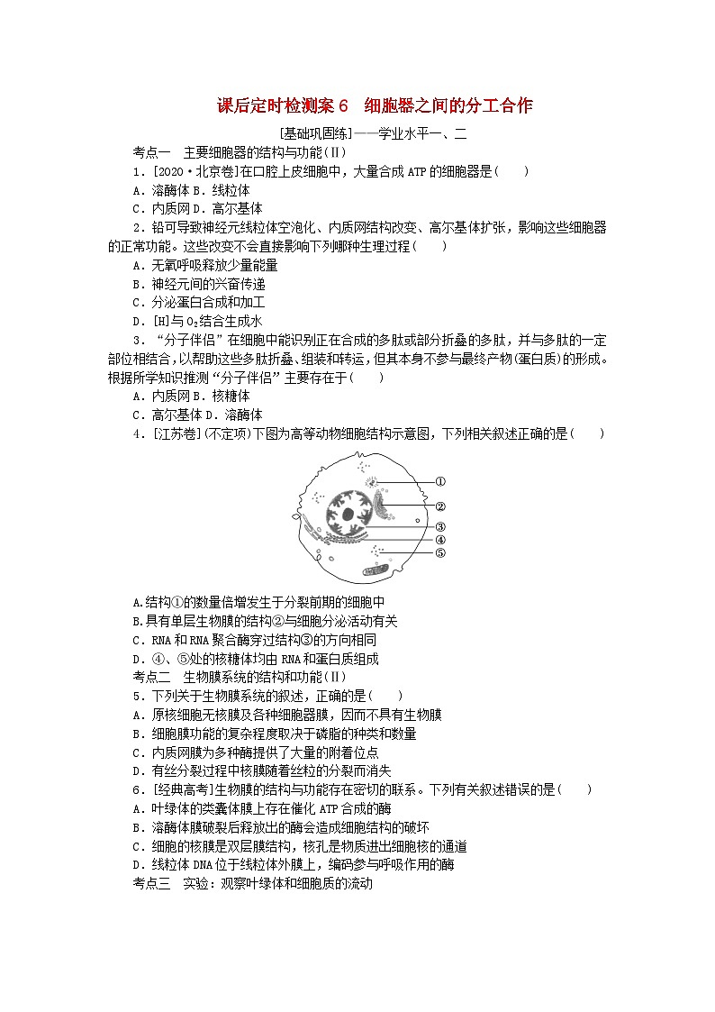 2024版新教材高考生物全程一轮总复习课后定时检测案6细胞器之间的分工合作第1页