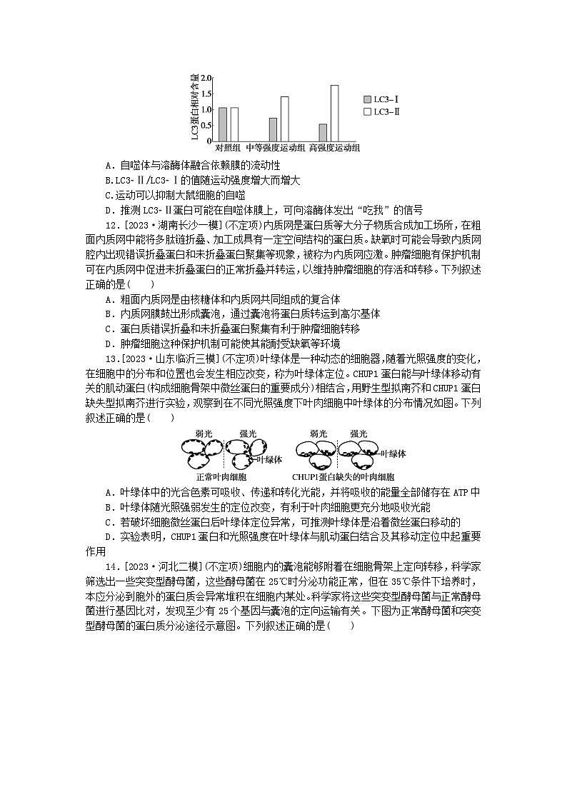 2024版新教材高考生物全程一轮总复习课后定时检测案6细胞器之间的分工合作第3页