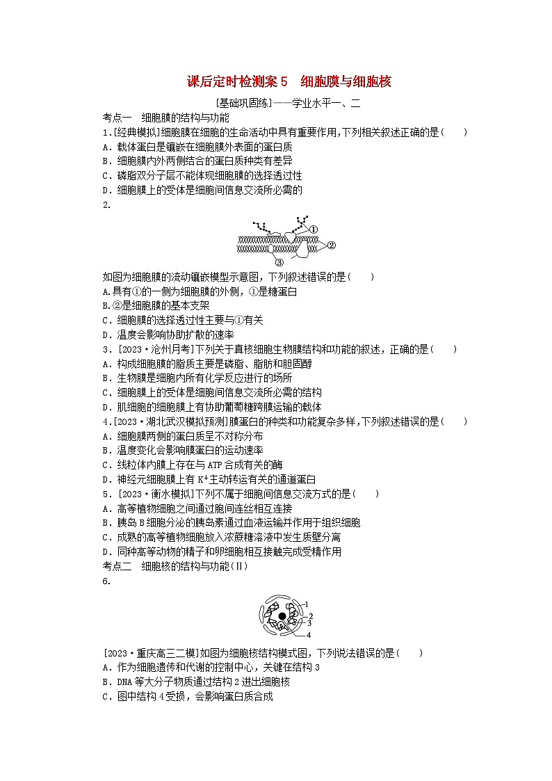 2024版新教材高考生物全程一轮总复习课后定时检测案5细胞膜与细胞核第1页