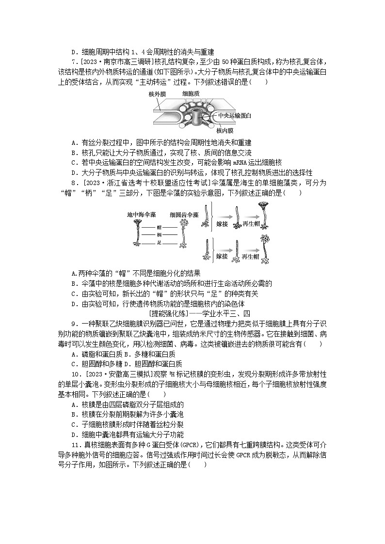 2024版新教材高考生物全程一轮总复习课后定时检测案5细胞膜与细胞核第2页