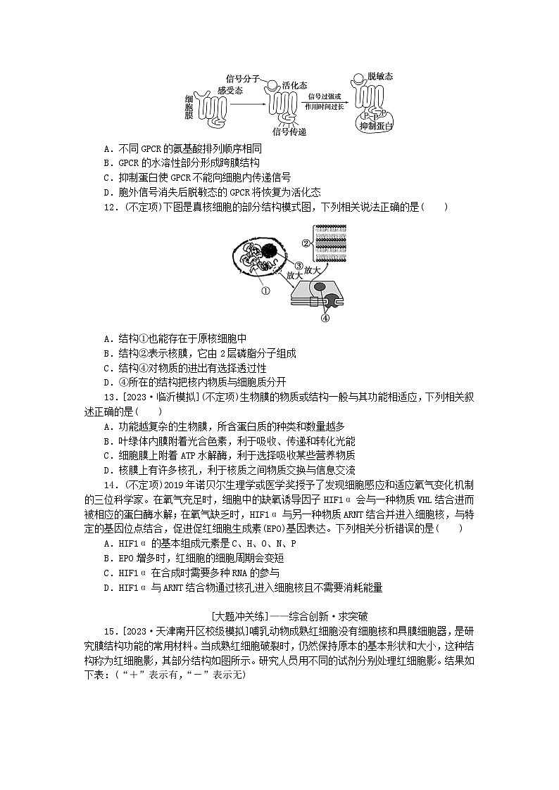 2024版新教材高考生物全程一轮总复习课后定时检测案5细胞膜与细胞核第3页