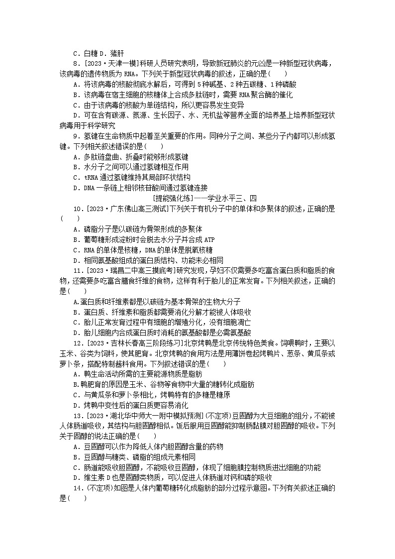 2024版新教材高考生物全程一轮总复习课后定时检测案4细胞中的糖类和脂质核酸是遗传信息的携带者第2页