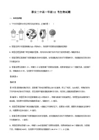 2022-2023学年山东省泰安市第二中学高一上学期12月月考生物试题含答案