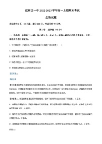 2022-2023学年四川省宜宾市叙州区第一中学高一上学期12月期末生物试题含答案