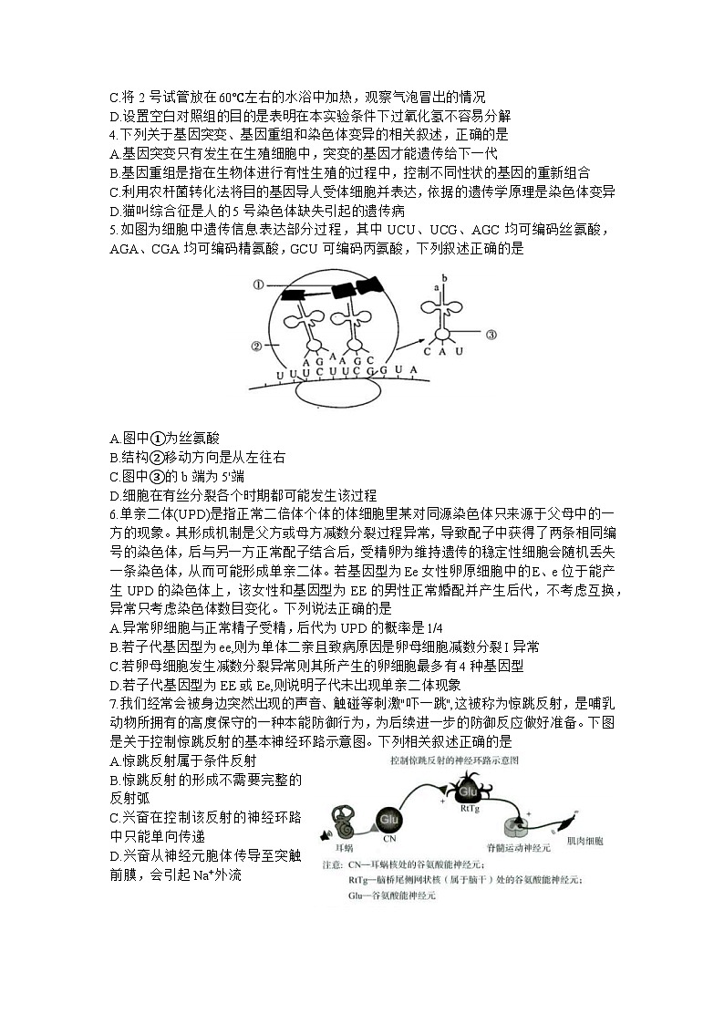 山东省济南市2023-2024学年高三上学期开学摸底生物试题+02