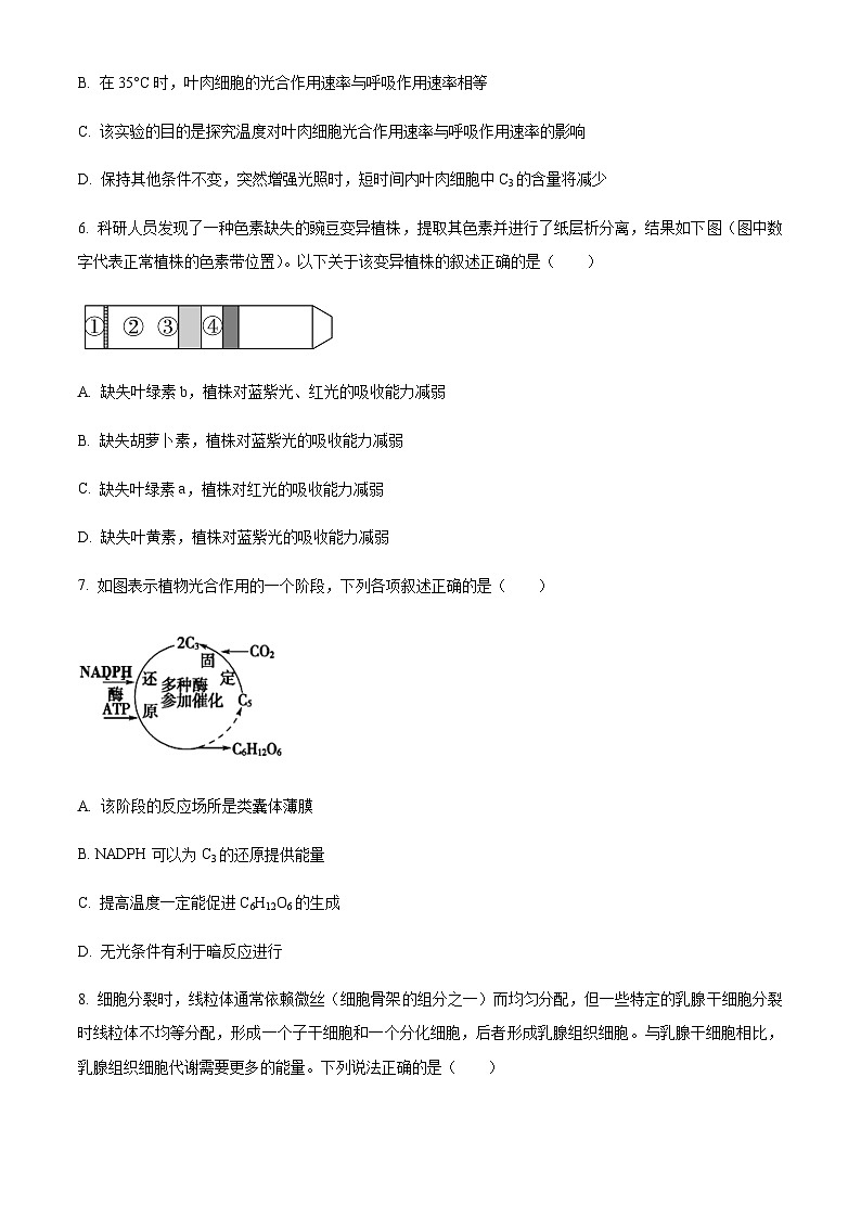 重庆市长寿中学校2022-2023学年高一4月期中生物试题  Word版无答案第3页