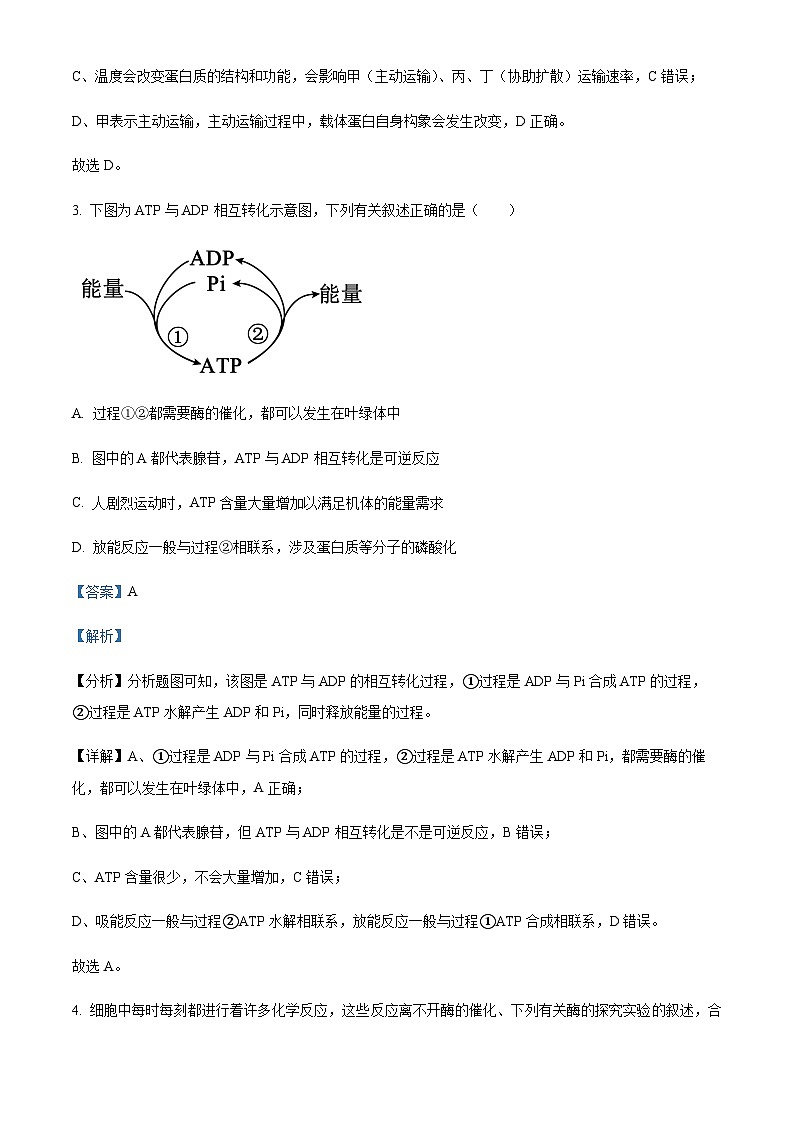 2022-2023学年重庆市巴蜀中学高一下学期期中生物试题含答案03
