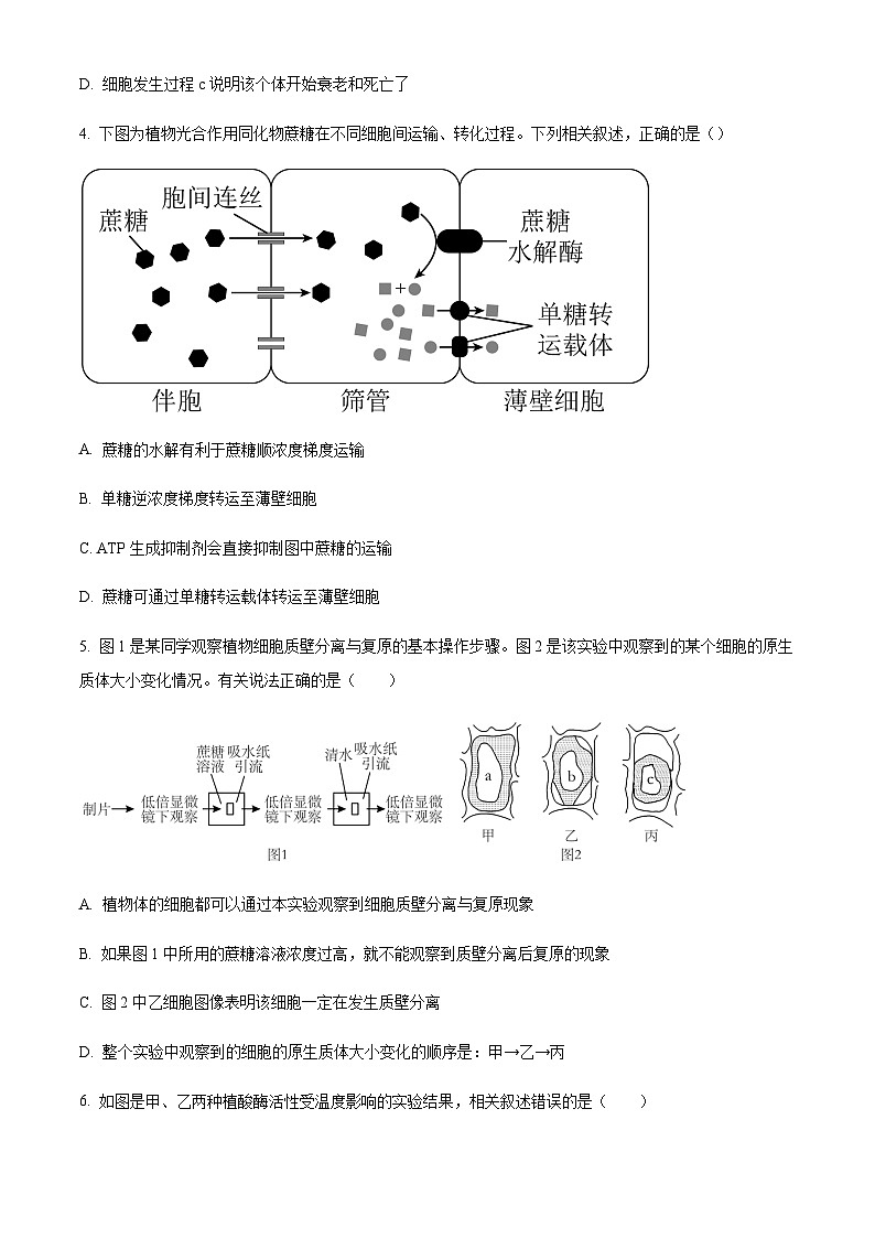 2022-2023学年广东省揭阳市揭东一中揭阳第一中学榕江新校惠来一中高一4月期中生物含答案 试卷02