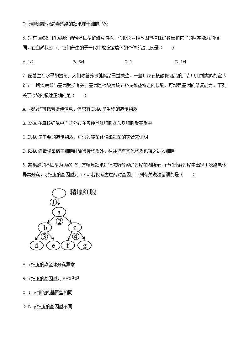2022-2023学年湖南省永州市第一中学高一下学期6月月考生物试题Word版含解析03