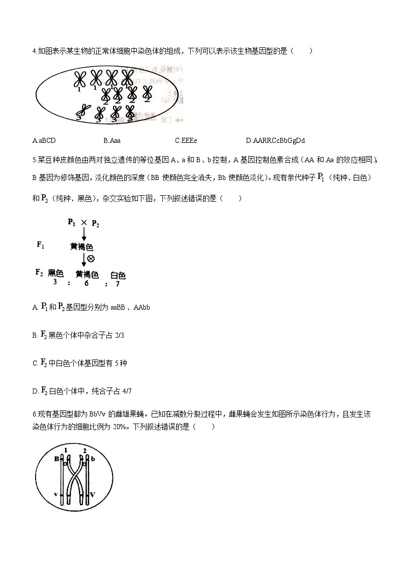 2022-2023学年辽宁省重点高中沈阳市郊联体高一下学期6月月考生物试题含答案第2页