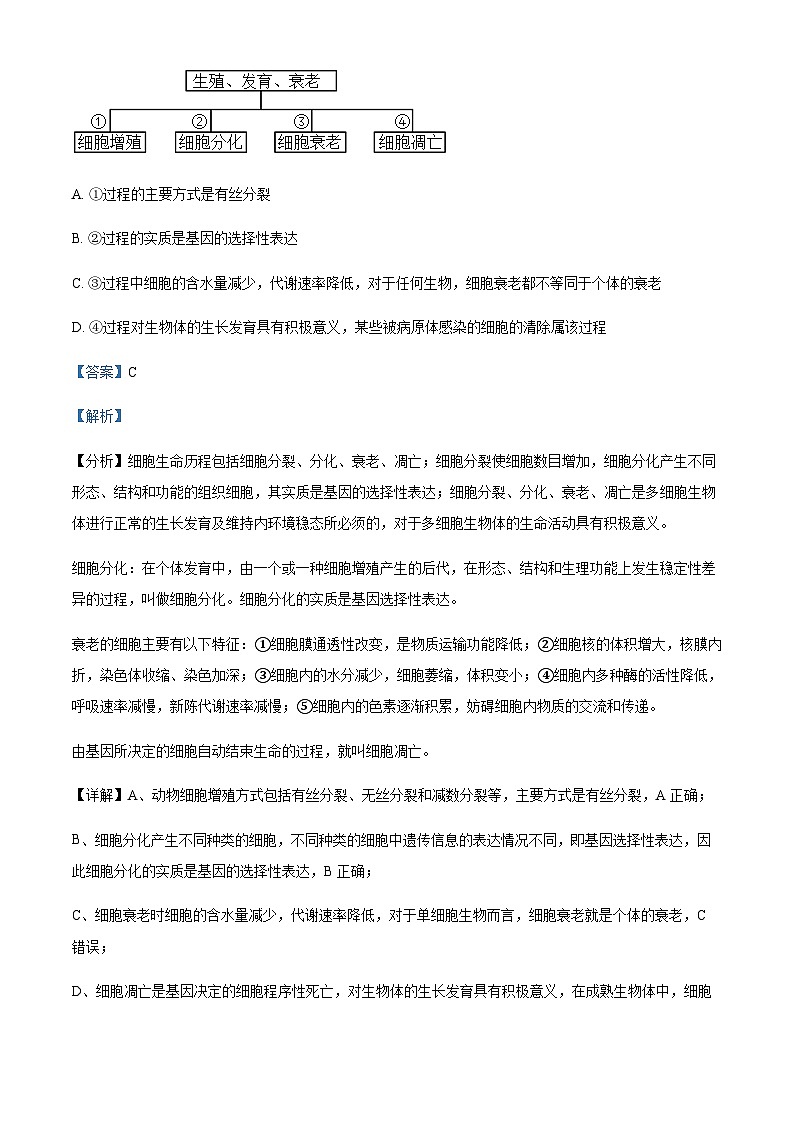 2022-2023学年四川省自贡市第一中学高一下学期6月月考生物试题含答案第2页