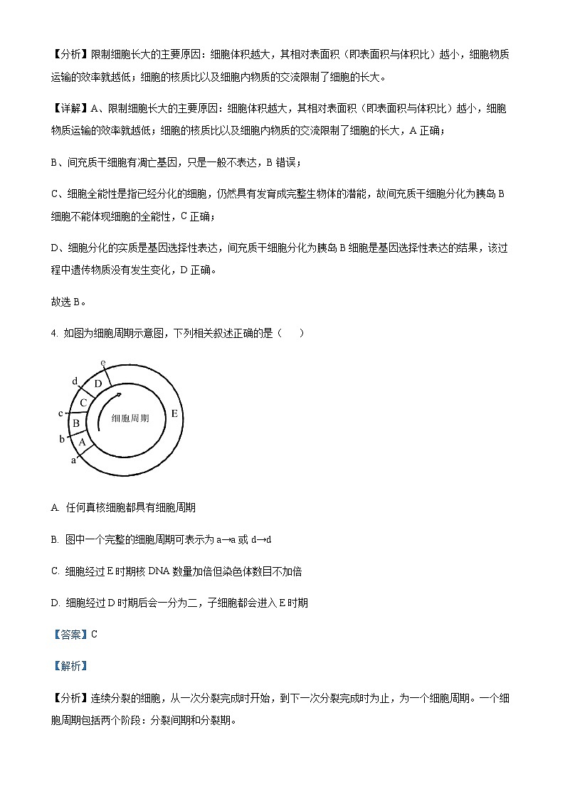 2022-2023学年四川省广元中学高一下学期4月月考生物试题含答案第3页