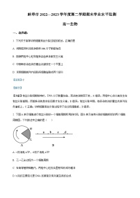 2022-2023学年安徽省蚌埠市高一下学期期末生物试题含答案