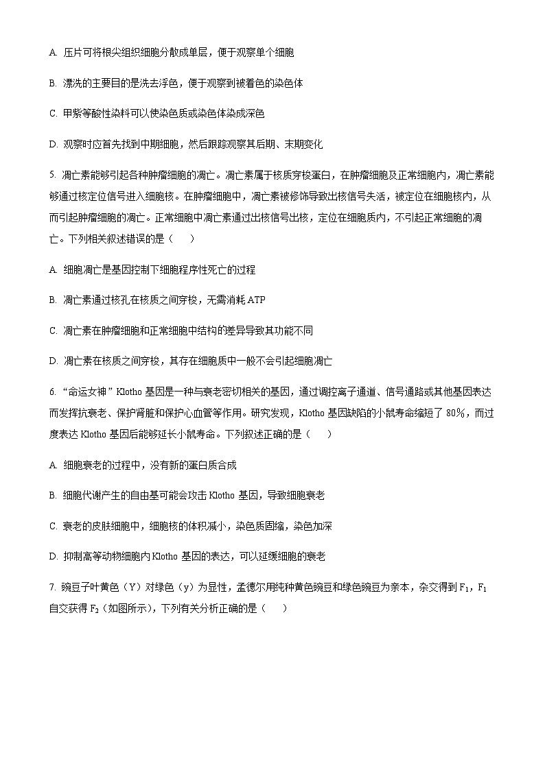 2022-2023学年安徽省蚌埠市高一下学期期末生物试题含答案02
