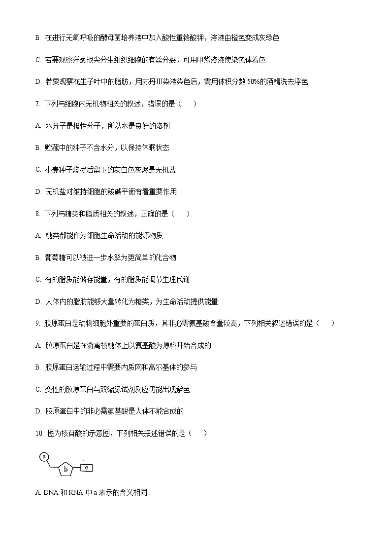 2022-2023学年云南省大理白族自治州高一下学期期末生物试题含答案03