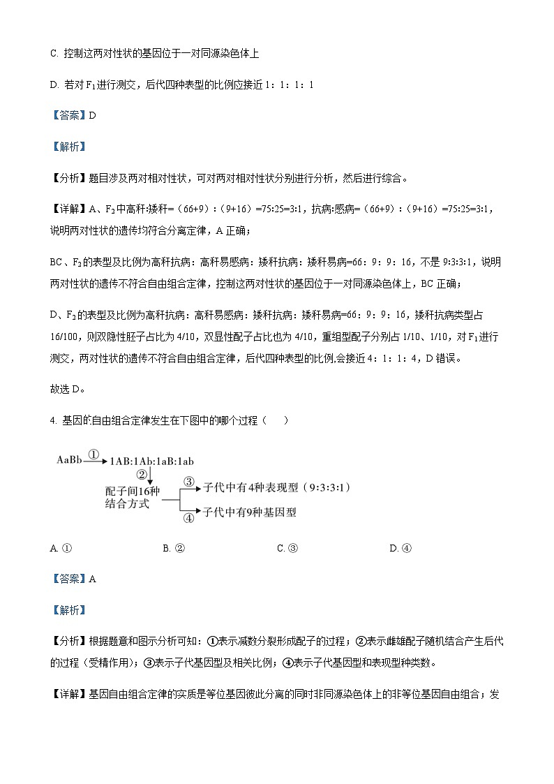 四川省宜宾市南溪一中2022-2023学年高一下学期期末模拟生物试题  Word版含解析第3页