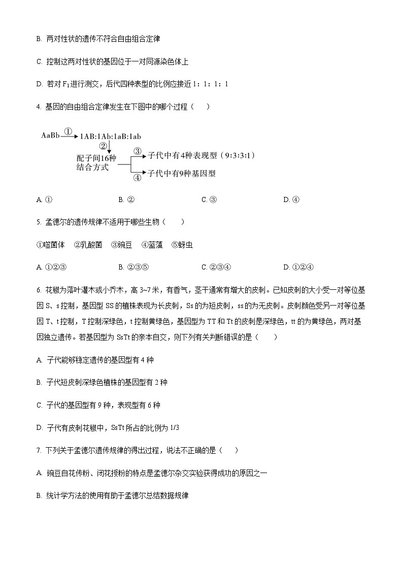 四川省宜宾市南溪一中2022-2023学年高一下学期期末模拟生物试题  Word版无答案第2页