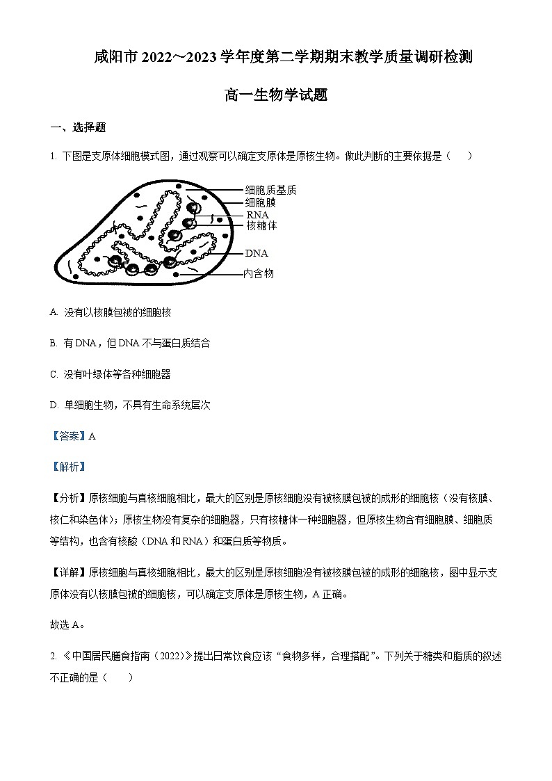陕西省咸阳市2022-2023学年高一7月期末生物试题  Word版含解析第1页