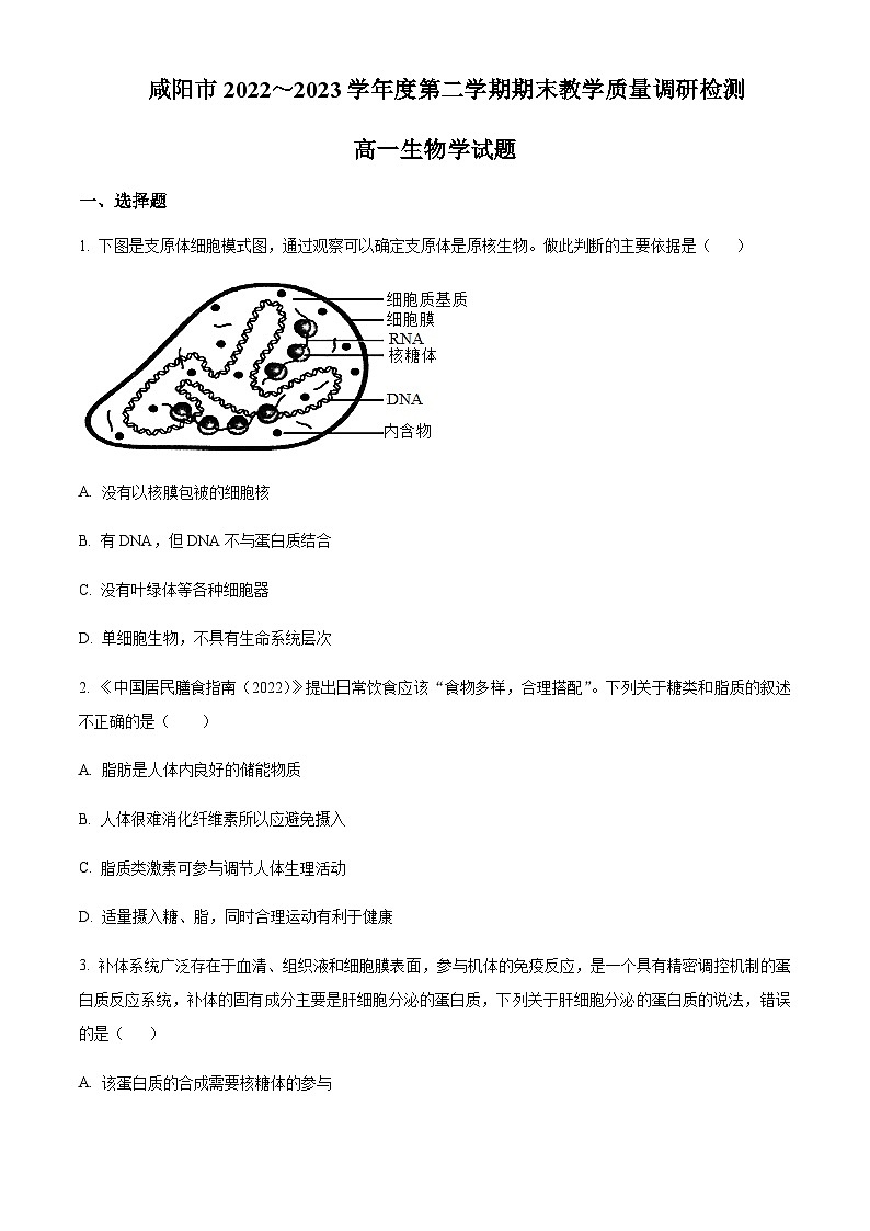 陕西省咸阳市2022-2023学年高一7月期末生物试题  Word版无答案第1页